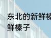 东北的新鲜榛子晾晒方法 如何晾晒新鲜榛子