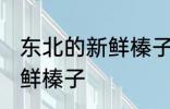 东北的新鲜榛子晾晒方法 如何晾晒新鲜榛子