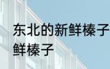 东北的新鲜榛子晾晒方法 如何晾晒新鲜榛子