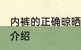 内裤的正确晾晒方法 内裤的晾晒方法介绍