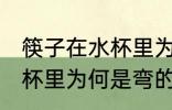 筷子在水杯里为什么是弯的 筷子在水杯里为何是弯的
