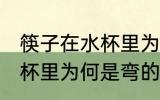 筷子在水杯里为什么是弯的 筷子在水杯里为何是弯的