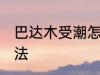 巴达木受潮怎么办 巴达木受潮解决方法