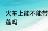 火车上能不能带榴莲 火车上可以带榴莲吗