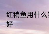 红稍鱼用什么钓最好 红稍鱼用啥钓最好