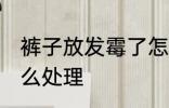 裤子放发霉了怎么办 裤子放发霉了怎么处理