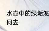 水壶中的绿垢怎么去 水壶中的绿垢如何去
