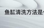 鱼缸清洗方法是什么 鱼缸如何清洗