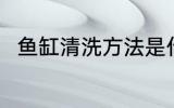 鱼缸清洗方法是什么 鱼缸如何清洗