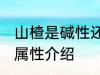 山楂是碱性还是酸性食物 山楂的酸碱属性介绍