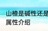 山楂是碱性还是酸性食物 山楂的酸碱属性介绍