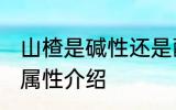 山楂是碱性还是酸性食物 山楂的酸碱属性介绍