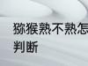 猕猴熟不熟怎么判断 猕猴熟不熟如何判断