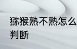 猕猴熟不熟怎么判断 猕猴熟不熟如何判断