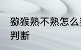 猕猴熟不熟怎么判断 猕猴熟不熟如何判断