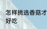 怎样挑选香菇才好吃 如何挑选香菇才好吃